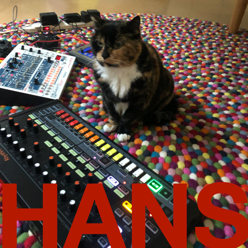 HANS - One