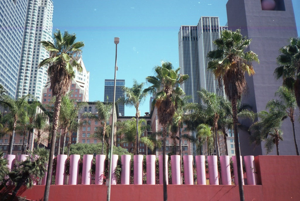 kodak portra 160 - yashica t4