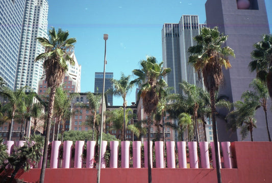 kodak portra 160 - yashica t4