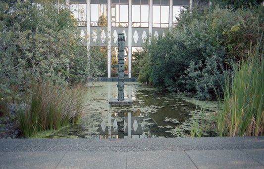 Kodak Porta 400 - Contax 159mm