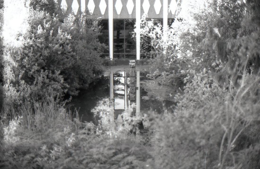 Rollei Retro 80s - Contax 159mm